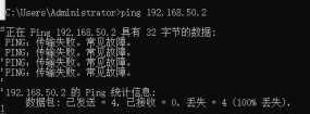 静态路由Ping测试5