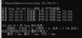 RIP Ping测试1