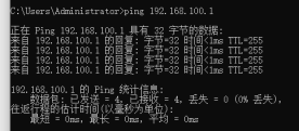 OSPF Ping测试1