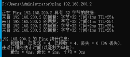 OSPF Ping测试4