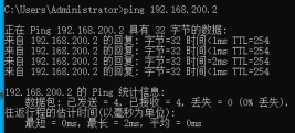 PPP Ping测试4
